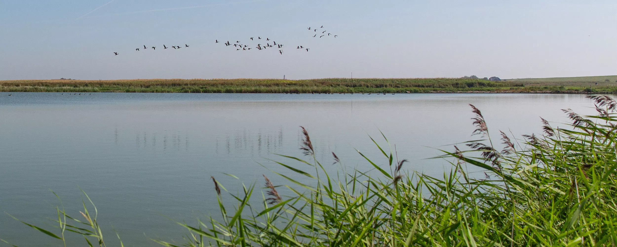 eine-der-schoensten-nordseeinseln-pellworm